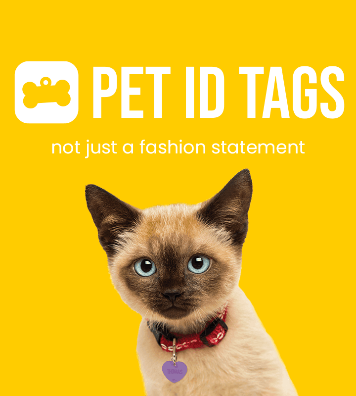 Petstock dog tags 2025